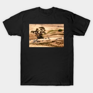 Australian Grassland Landscape T-Shirt